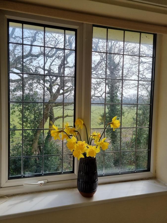 Lovely 2-Bedroom New Forest Apartment On A Farm 新米尔顿 外观 照片